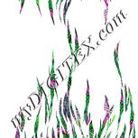 Colour:D