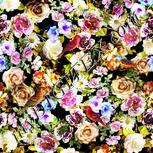Colour:A