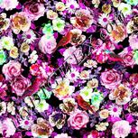 Colour:B