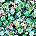 Colour:C