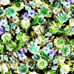 Colour:D
