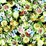 Colour:K