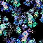 Colour:F