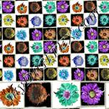 Colour:A