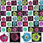 Colour:B
