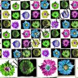 Colour:D