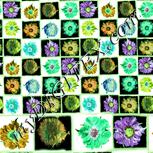 Colour:K