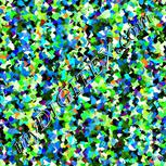 Colour:F