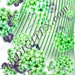 Colour:C