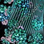 Colour:F