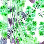 Colour:C