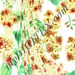 Colour:K