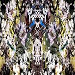 Colour:A