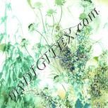 Colour:K