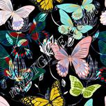 Colour:A
