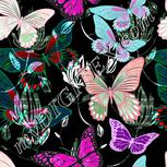 Colour:B