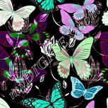 Colour:C