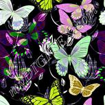 Colour:D