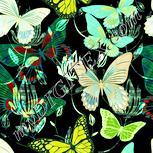 Colour:K