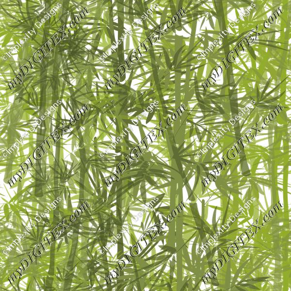 Bamboo