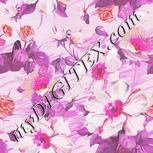 Colour:B