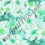 Colour:C