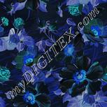 Colour:F