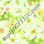 Colour:K