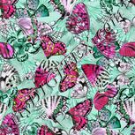 Colour:B