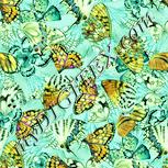 Colour:K