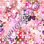Colour:J