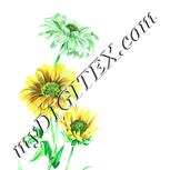 Colour:K