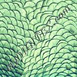 Colour:K