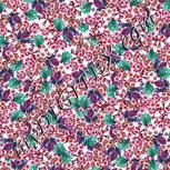 Colour:B