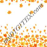 Colour:J