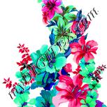 Colour:B