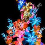 Colour:F