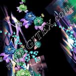 Colour:F