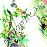 Colour:K