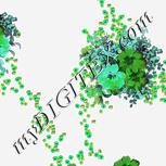 Colour:C