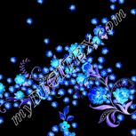 Colour:F