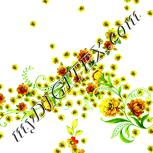 Colour:K