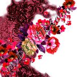 Colour:B
