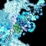 Colour:F