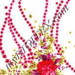 Colour:B