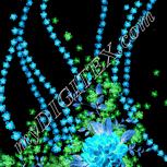 Colour:F