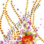 Colour:K