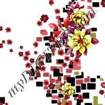 Colour:B