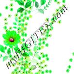 Colour:C