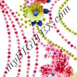 Colour:B